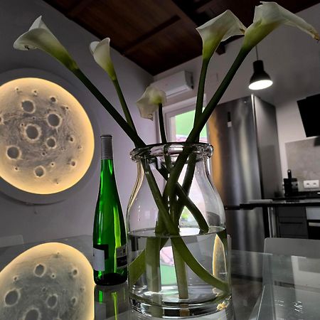 Casa De La Luna アリカンテ エクステリア 写真
